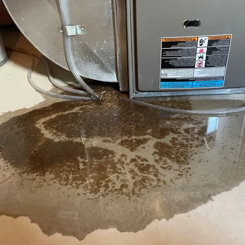 Pipe Burst and Leak Restoration in Frazeysburg, OH