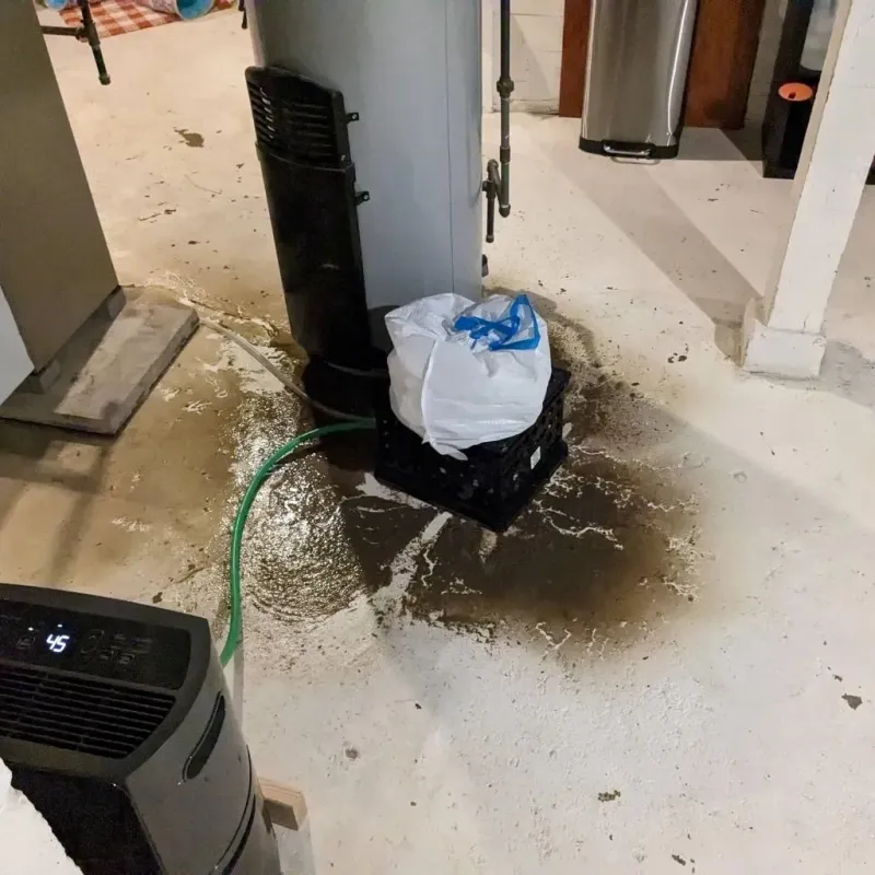 Sewage Backup Cleanup Service in Frazeysburg, OH